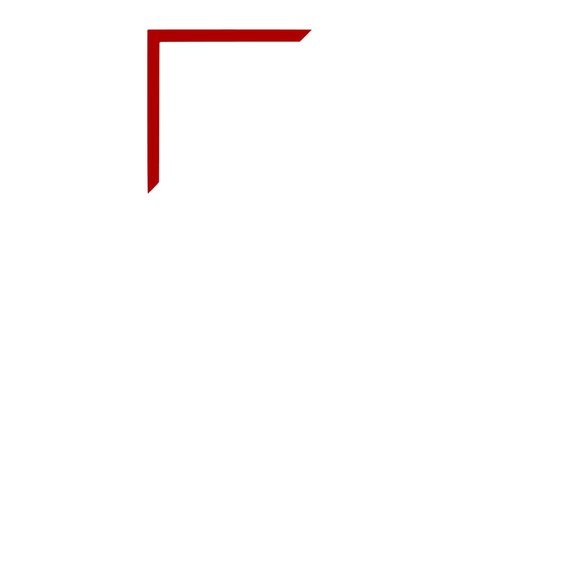 Profyle District Logo